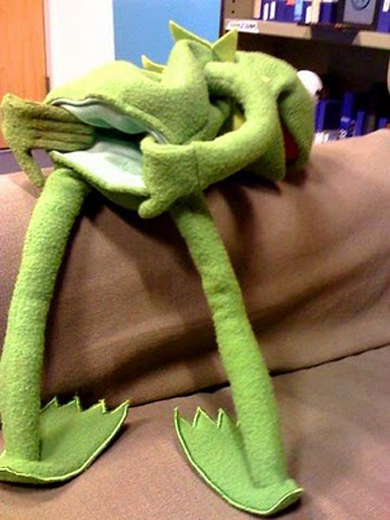 kermit-goatse.jpg